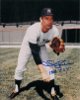 Stan Bahnsen signed New York Yankees 8x10 Photo 1968 ROY