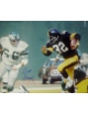 Bill Bergey signed Philadelphia Eagles 16x20 Photo vs Franco Harris/Steelers