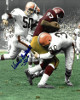 Vince Costello signed Cleveland Browns Vintage 8x10 Photo #50