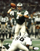 Ron Jaworski signed Philadelphia Eagles NFL 8X10 Photo #7- JSA (gold sig)