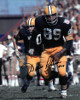 Dave Robinson signed Green Bay Packers 8x10 Photo #89