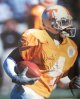 Donte' Stallworth signed Tennessee Vols 16X20 Photo