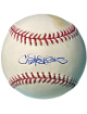 Carlos Pena signed Official Rawlings Major League Baseball tone spots(Tampa Bay Rays/AS/GG)