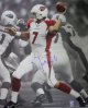 Matt Leinart signed Arizona Cardinals 16x20 Photo- Leinart Hologram