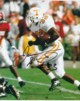 James Stewart signed Tennessee Volunteers 8x10 Photo #33