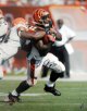 Rudi Johnson signed Cincinnati Bengals 16x20 Photo